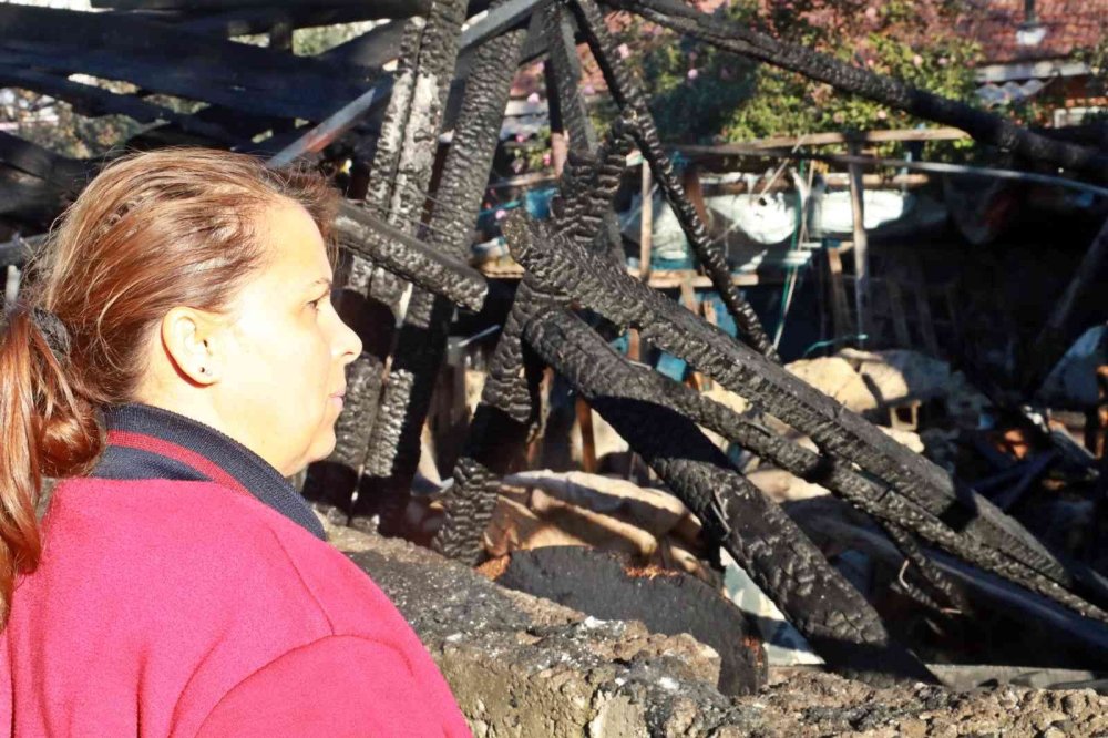 Yeni Çektiği Maaşı İçin Canını Hiçe Saydı