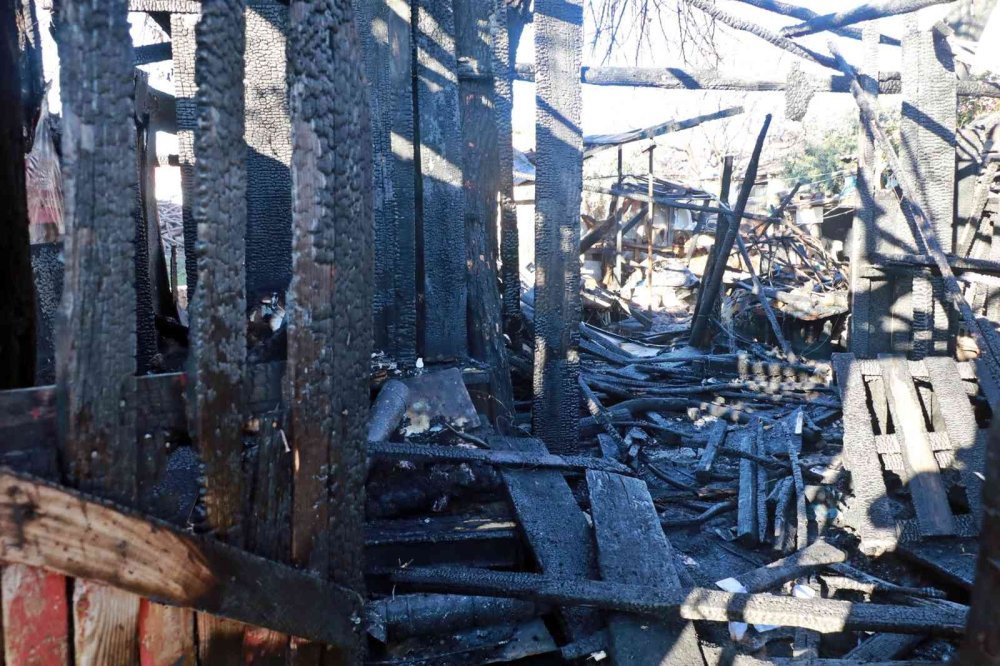 Yeni Çektiği Maaşı İçin Canını Hiçe Saydı