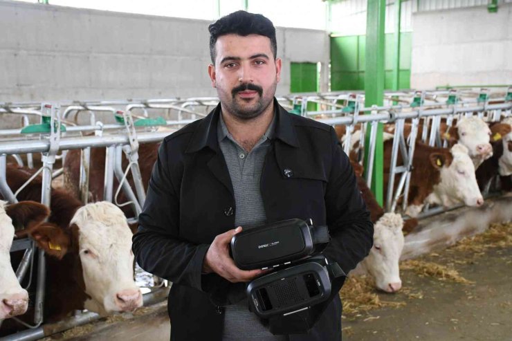 Sanal Gerçeklik Gözlüğüyle İneklerin Süt Verimliliği Arttı
