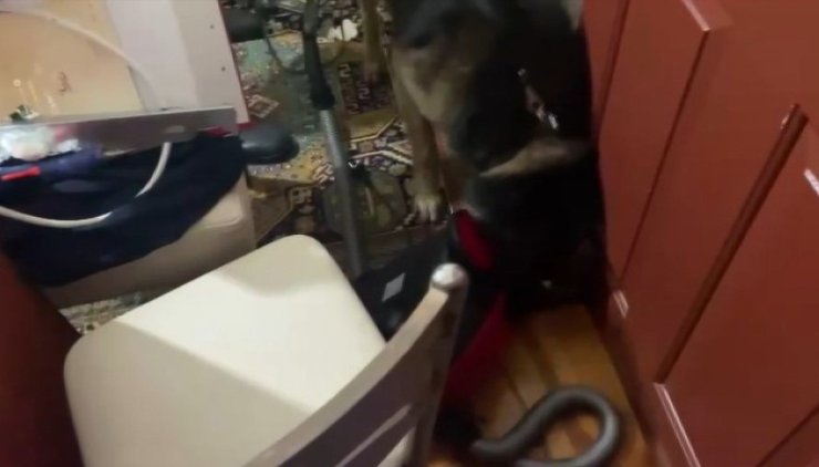 Suç Makinesi Uyuşturucu Tacirlerine Operasyon