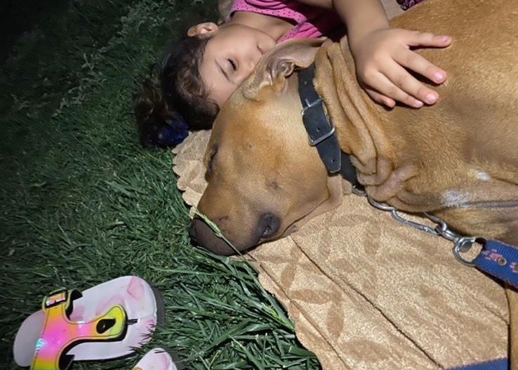 Prof. Dr. Ömer Özkan: "asiye’nin Normal Yaşamına Dönmesi 1 Yılı Bulabilir"