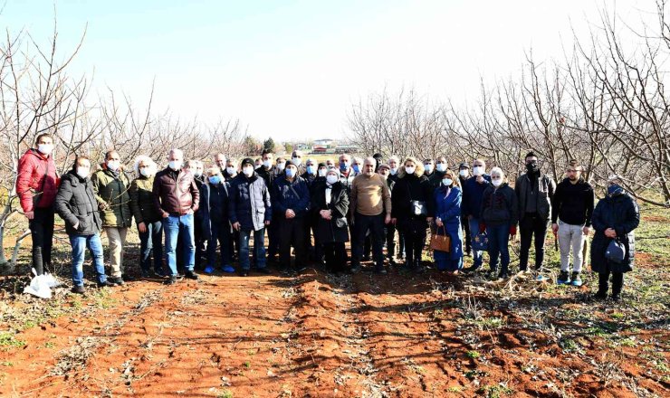 Budamada Önce Teori Sonra Uygulama