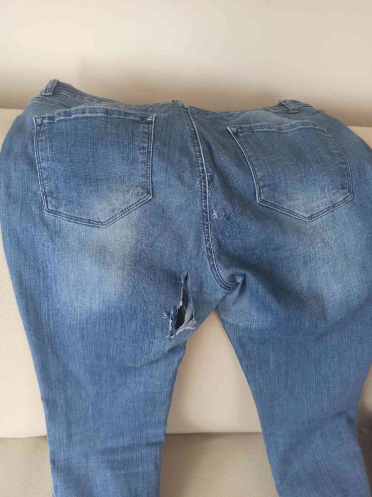 Seyitgazi’de Köpek Dehşeti