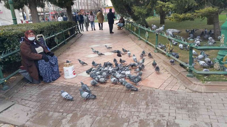 70 Yaşındaki Engelli Kadın Hem Para Kazanıyor Hem Kuşları Besliyor