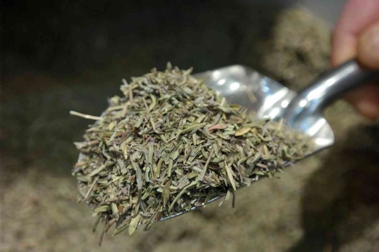 “virüse Karşı Koruyucu Madde Girmemiş Gıdalarla Doğal Beslenmeliyiz”