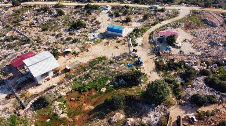 80 Hayvana Anne Oldu, 53 Köpek İle 27 Kediyi Sokaktan Kurtardı