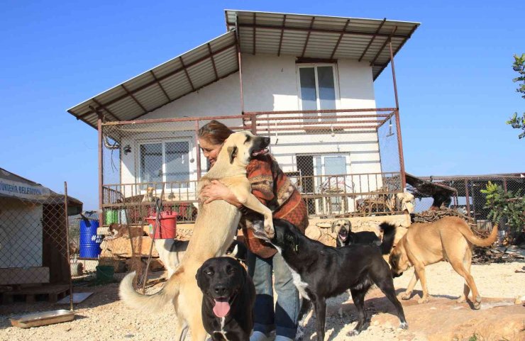 80 Hayvana Anne Oldu, 53 Köpek İle 27 Kediyi Sokaktan Kurtardı