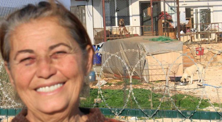 80 Hayvana Anne Oldu, 53 Köpek İle 27 Kediyi Sokaktan Kurtardı