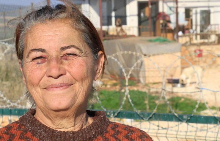 80 Hayvana Anne Oldu, 53 Köpek İle 27 Kediyi Sokaktan Kurtardı