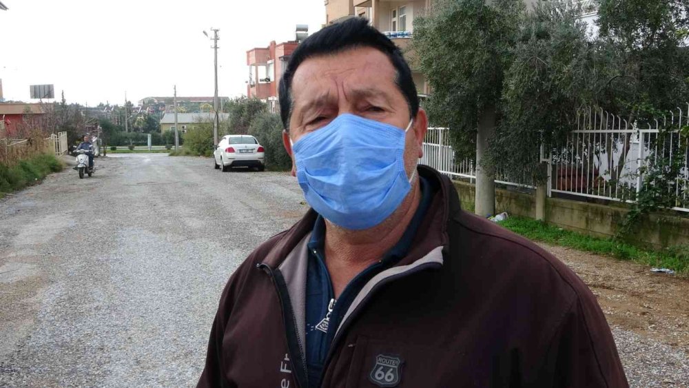 Aç Kalan Sokak Köpekleri Tavukları Telef Etti