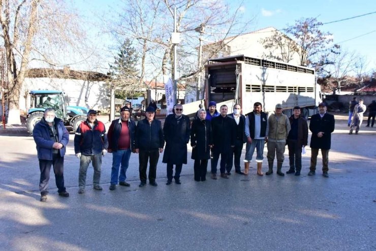 İnönü’de Manda Kaymağı Ve Yoğurdunun Üretimine Büyük Destek