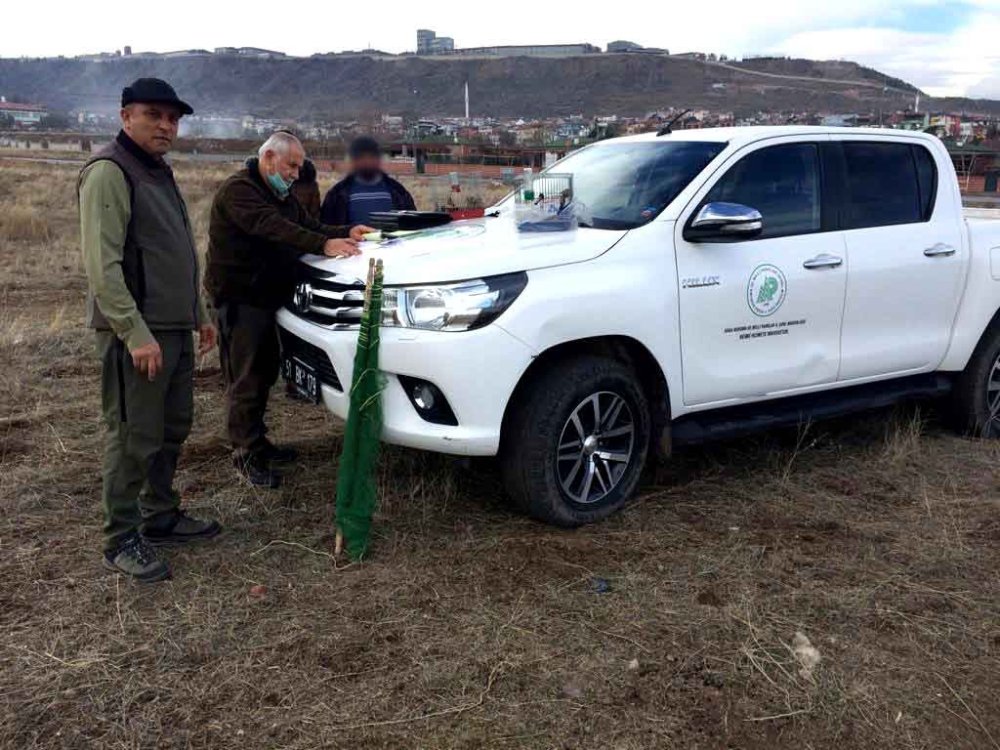 Kayseri’de Yasa Dışı Keten Kuşu Avlayan 2 Şahıs Suçüstü Yakalandı