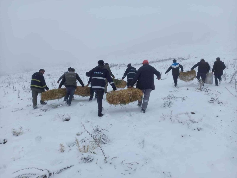Karaman’da Yaban Hayatı Unutulmadı