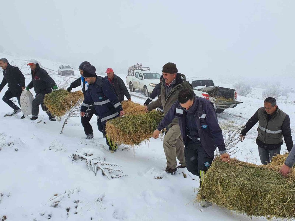 Karaman’da Yaban Hayatı Unutulmadı