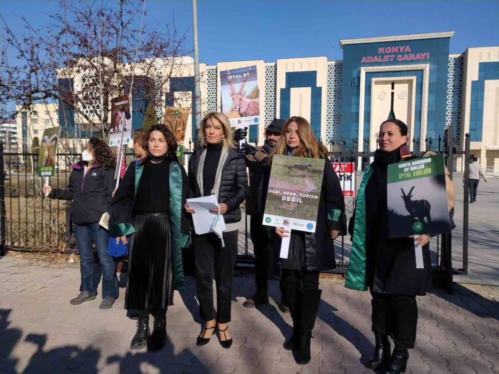 Anadolu Yaban Koyunu Ve Yaban Keçilerinin Akıbeti 15 Gün İçinde Belli Olacak