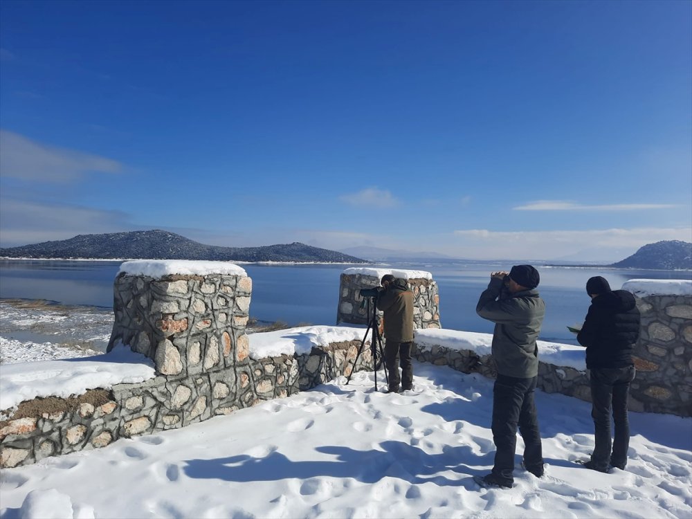 Beyşehir Gölü'nde Kış Ortası Su Kuşu Sayımı Tamamlandı