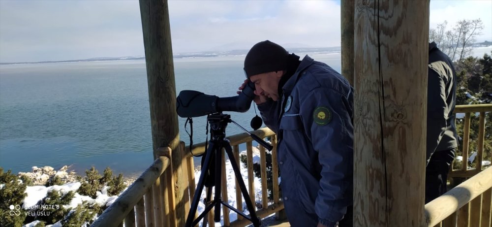 Beyşehir Gölü'nde Kış Ortası Su Kuşu Sayımı Tamamlandı