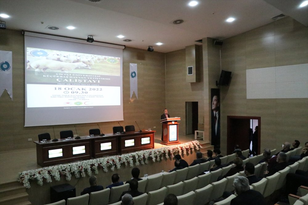 Küçükbaş Hayvan Sayısının Bu Yıl 75 Milyona Çıkarılması Hedefleniyor