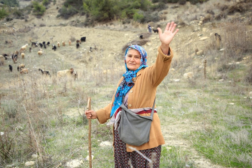 Torosların Kadın Çobanı Hayvanlarına Evladı Gibi Bakıyor
