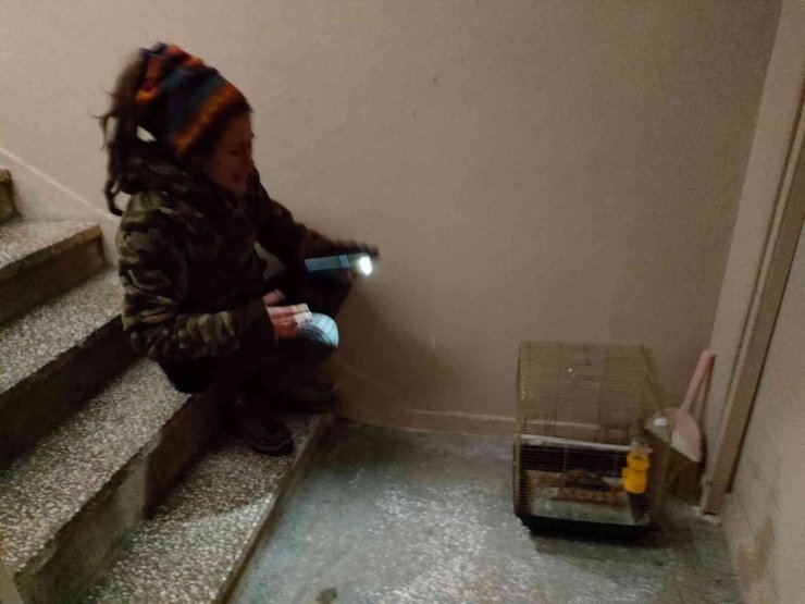 Genç Kadın Hem Yangında Mahsur Kaldı, Hem Ölen Kuşu İçin Ağladı