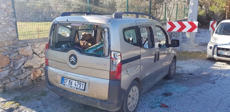 Hayvansever Alman Kadının İçinde Köpeği Bulunan Aracını Sopalar Ve Taşlarla Parçaladılar