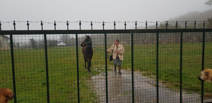 Hayvansever Alman Kadının İçinde Köpeği Bulunan Aracını Sopalar Ve Taşlarla Parçaladılar