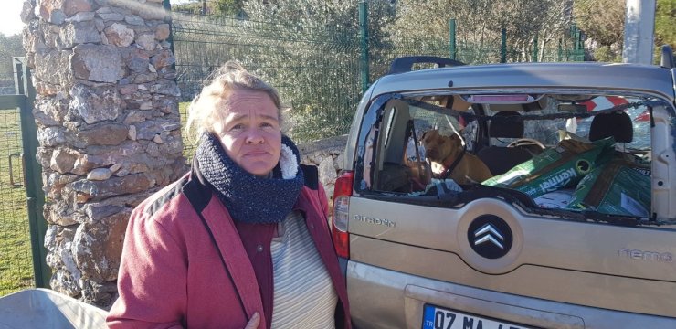 Hayvansever Alman Kadının İçinde Köpeği Bulunan Aracını Sopalar Ve Taşlarla Parçaladılar