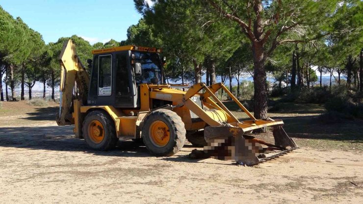 Vicdansızların Vurarak Öldürdüğü At Sokak Hayvanlarına Yem Oldu