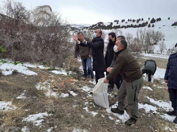 Doğadaki Hayvanlara Yem Bırakıldı