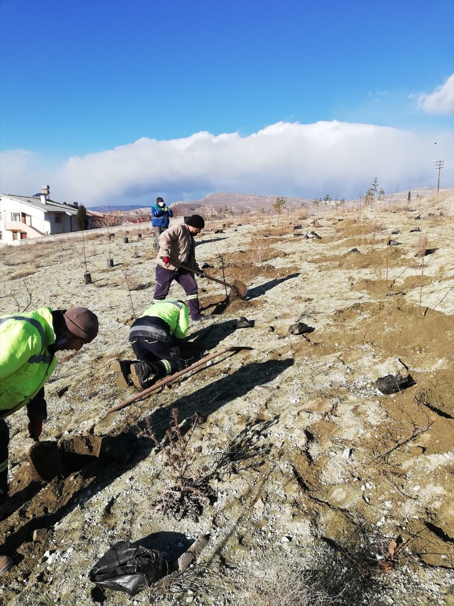 Nallıhan'da Fidanlar Toprakla Buluşturuldu
