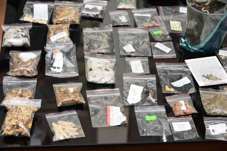 Tarsus’ta Ata Tohum Dayanışması Büyüyor