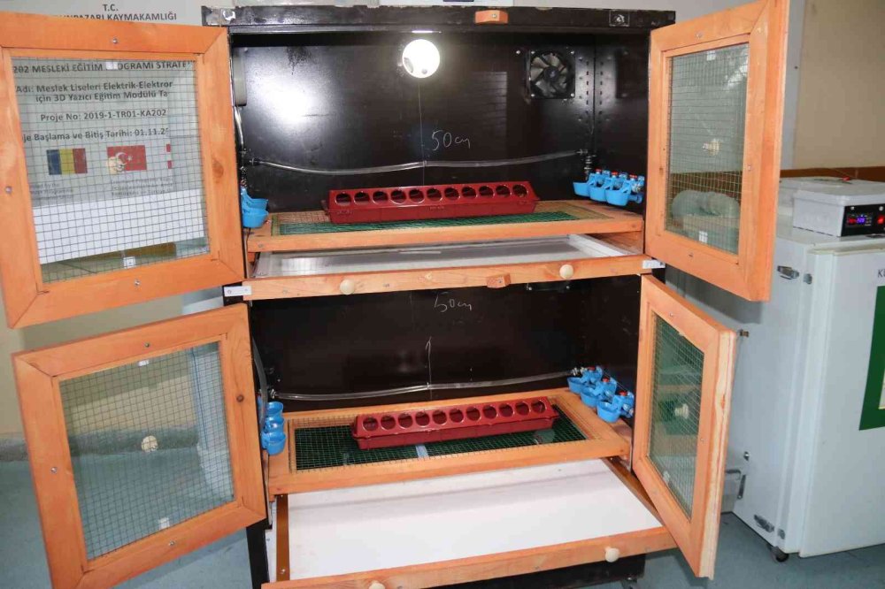 Görme Engelli Mesai Arkadaşının Hayalini Böyle Gerçekleştirdi