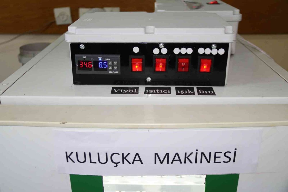 Görme Engelli Mesai Arkadaşının Hayalini Böyle Gerçekleştirdi