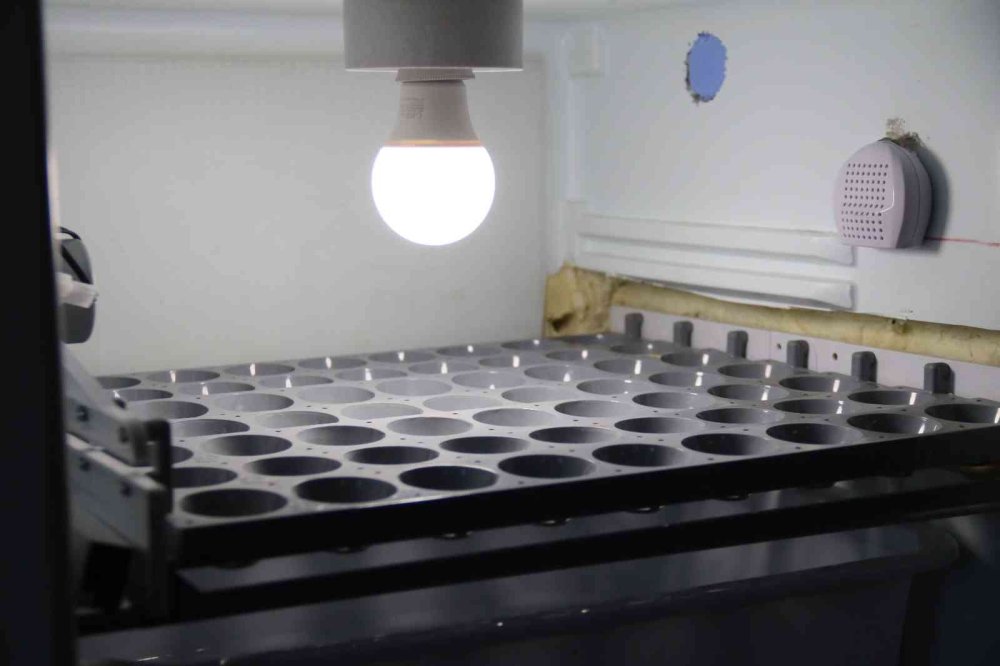 Görme Engelli Mesai Arkadaşının Hayalini Böyle Gerçekleştirdi