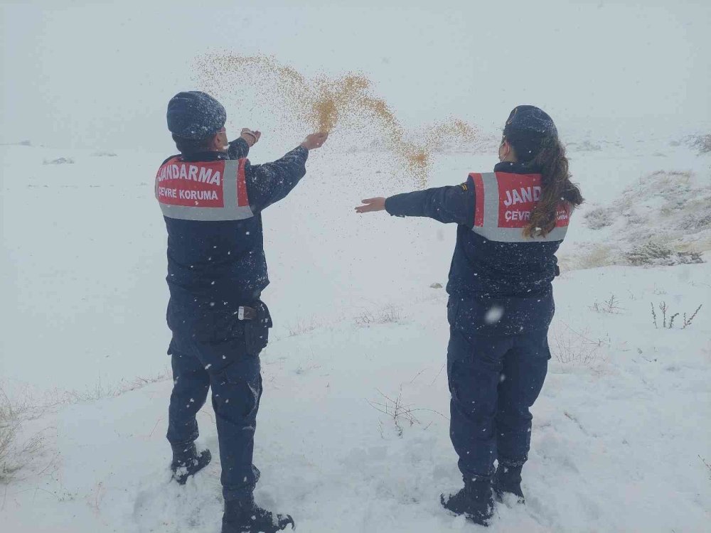 Hayvanlara Yiyecek Götüren Jandarma Ekipleri Yürekleri Isıttı