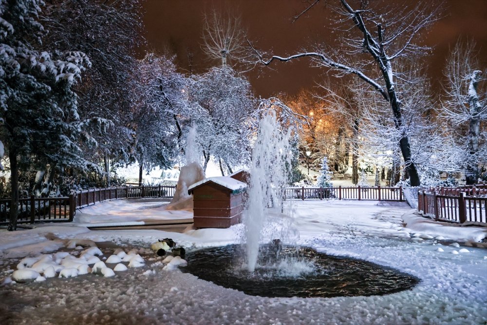 Ankara'nın Simgelerinden Kuğulu Park Beyaza Büründü