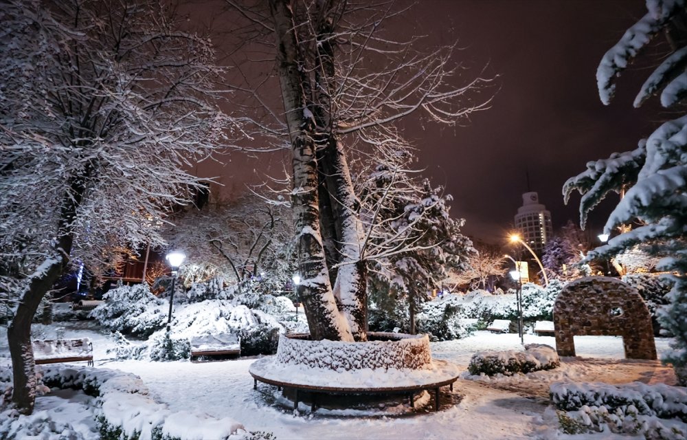 Ankara'nın Simgelerinden Kuğulu Park Beyaza Büründü