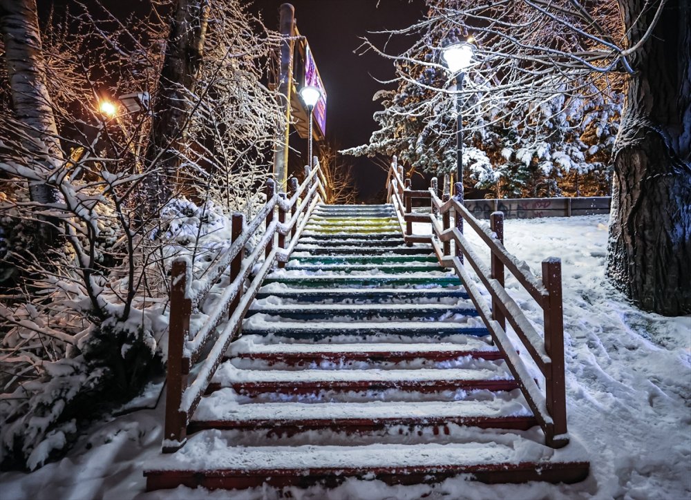 Ankara'nın Simgelerinden Kuğulu Park Beyaza Büründü