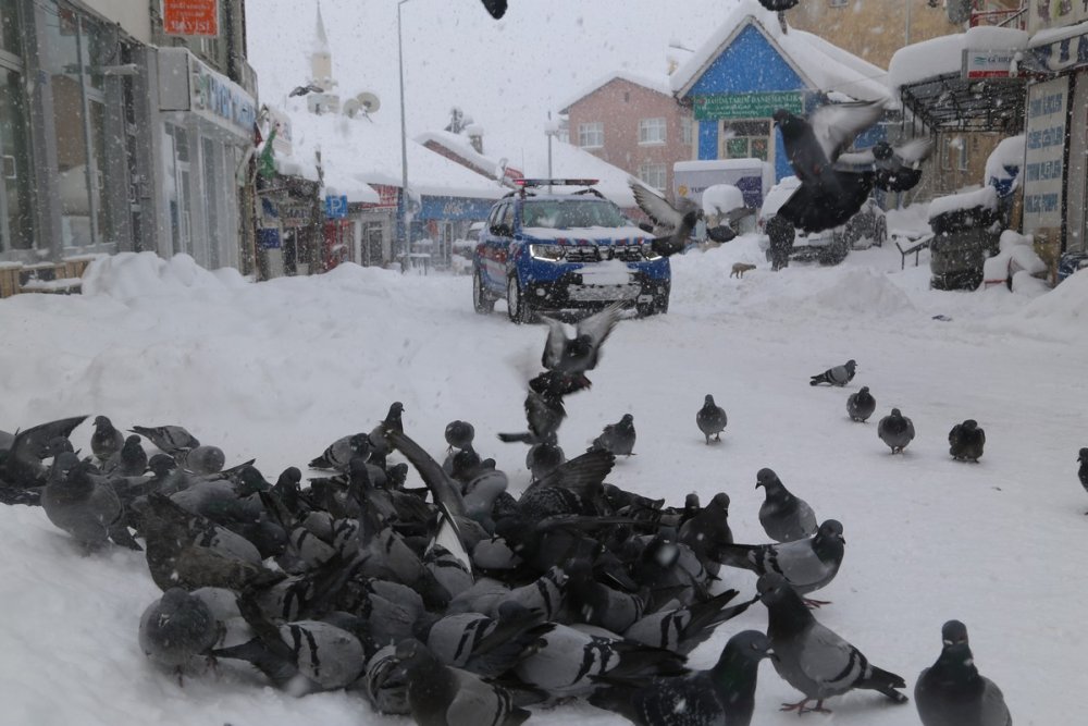 Anadolu son Yılların En Çetin Kışını Geçiriyor