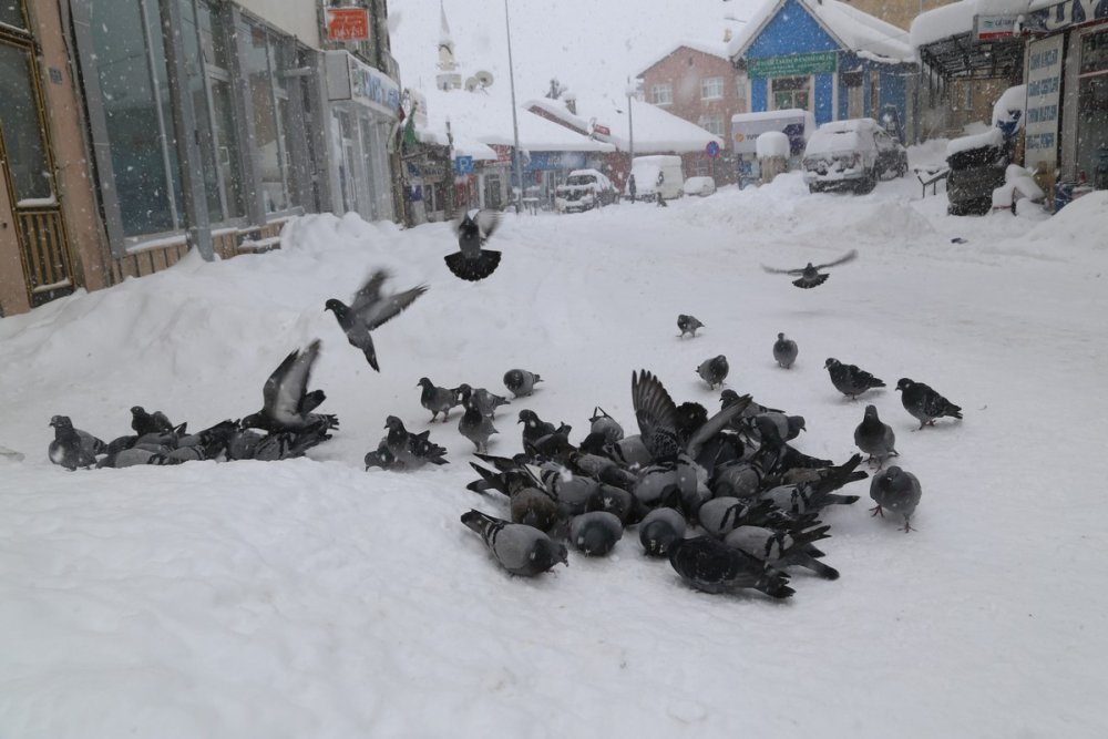 Anadolu son Yılların En Çetin Kışını Geçiriyor