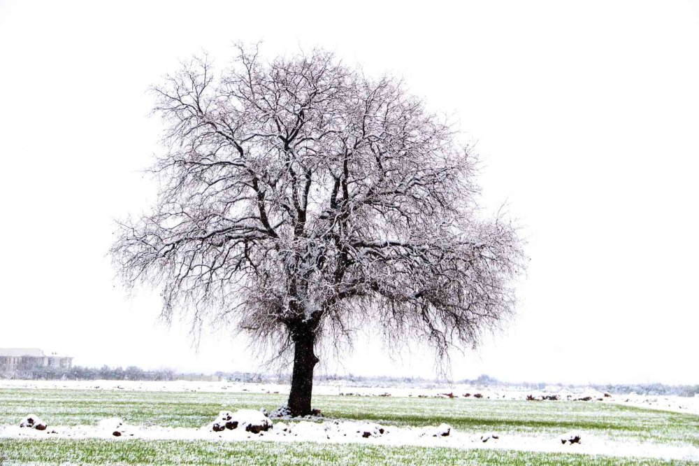 Antalya’ya 29 Yıl Sonra Gelen Kar Sevinci