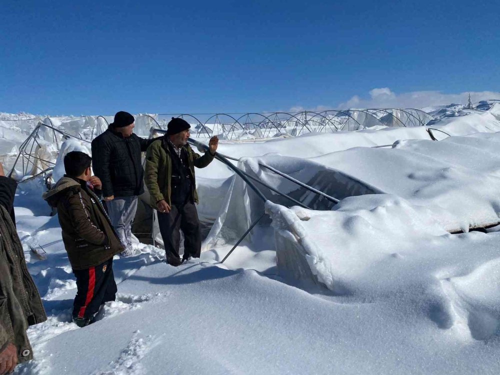 Kar Yağışı Karaman'da Seraları Çökertti