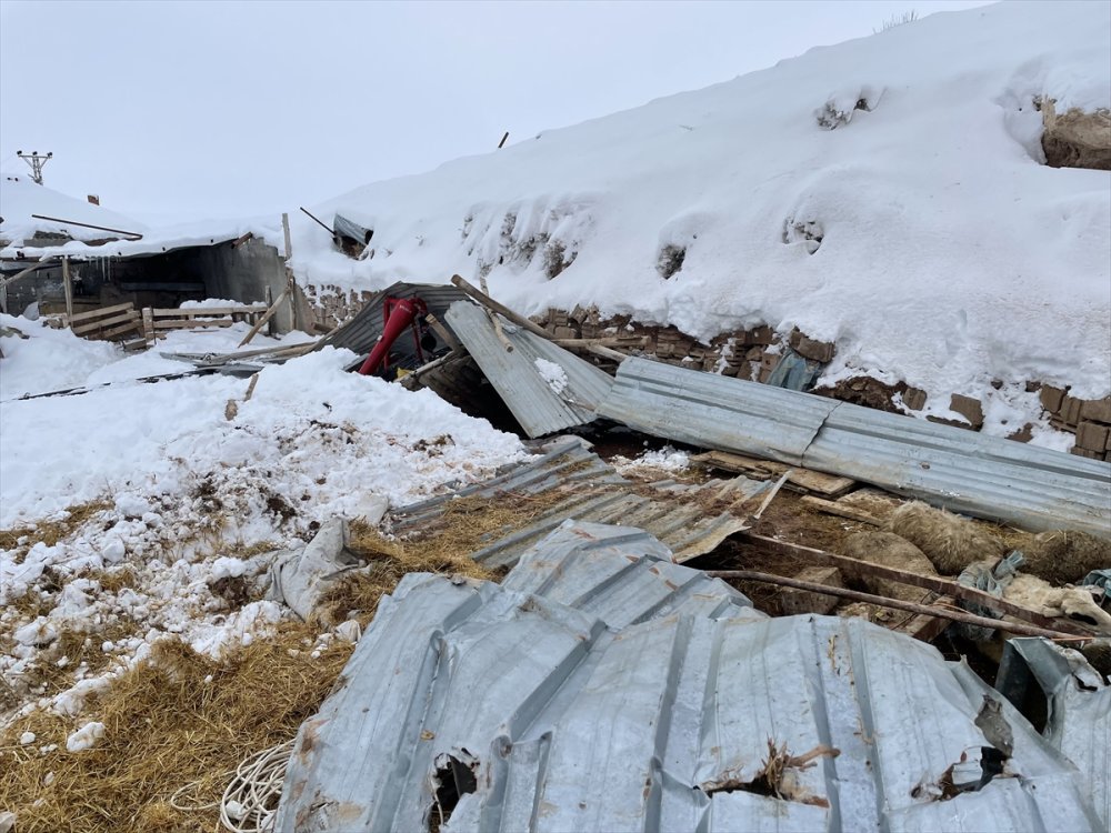 Aksaray'da Bir Ağılın Çatısı Çöktü