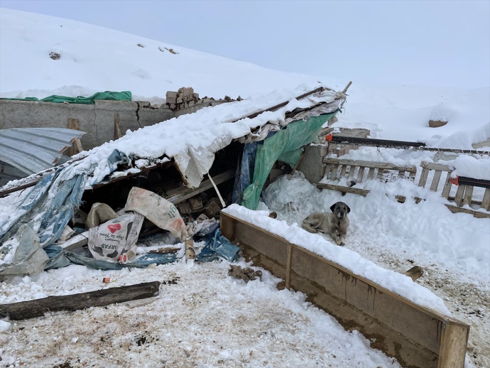 Aksaray'da Bir Ağılın Çatısı Çöktü