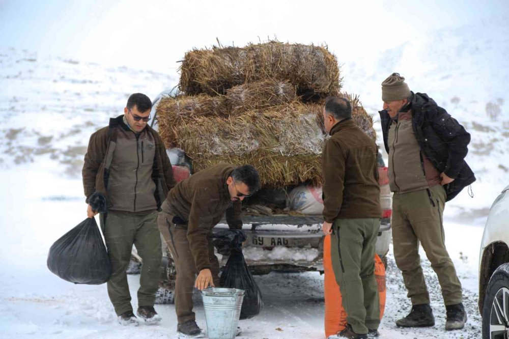 Aladağlar’da Dağ Keçileri Drone İle Görüntülendi