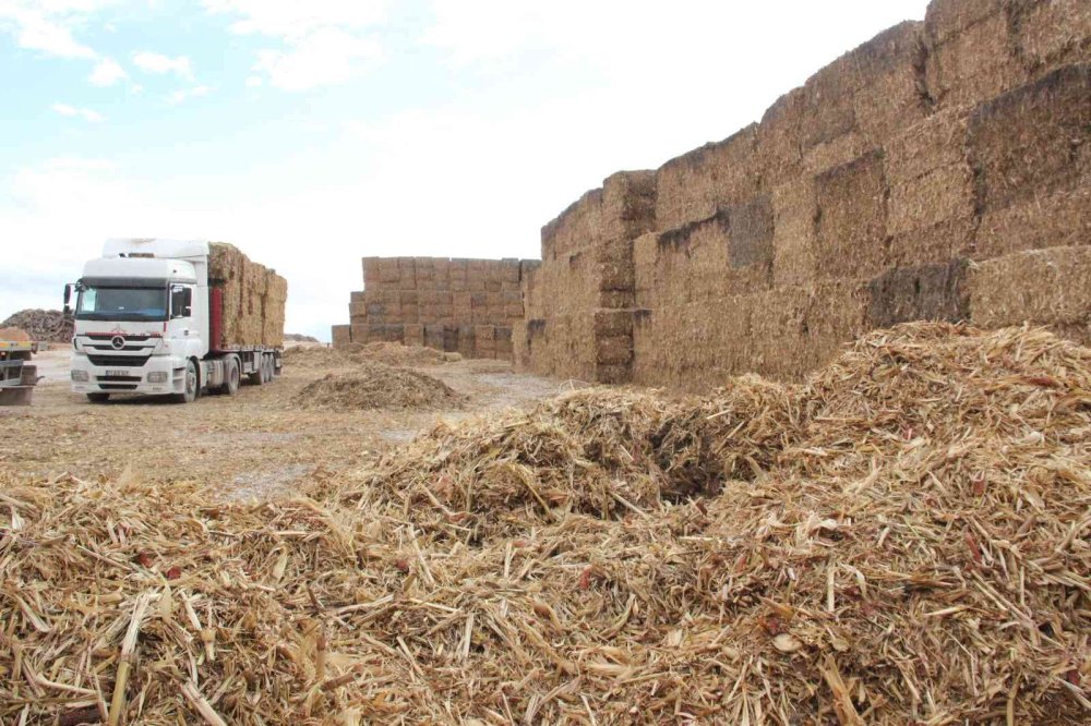 OKE’den Enerjiye Yerli Katkı