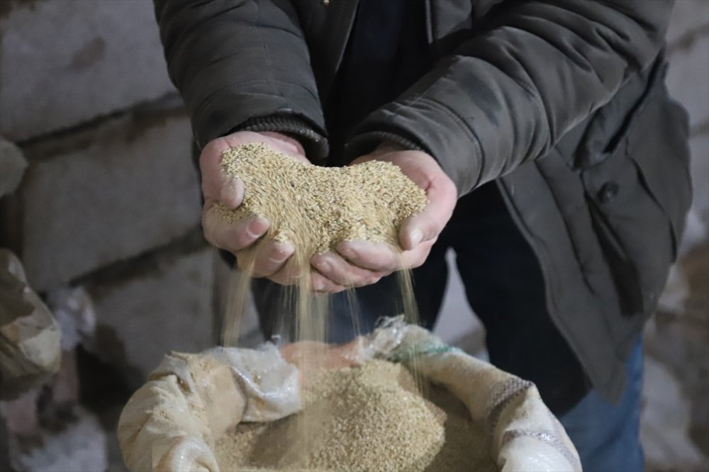 Aksaray'da Yetiştirdiği Astronot Yiyeceği Kinoayı Avrupa'ya Satıyor