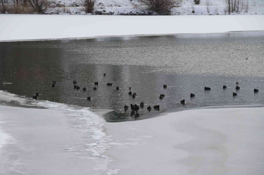 Yüzeyi Yer Yer Buz Tutan Sarısungur Göleti’nden Kartpostallık Kareler