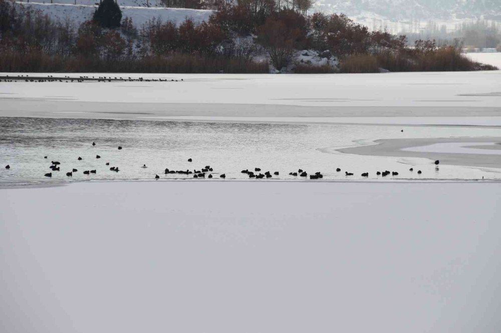 Yüzeyi Yer Yer Buz Tutan Sarısungur Göleti’nden Kartpostallık Kareler