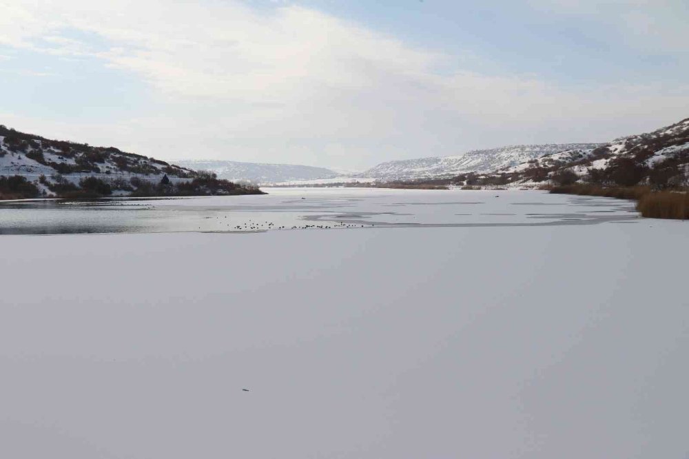 Yüzeyi Yer Yer Buz Tutan Sarısungur Göleti’nden Kartpostallık Kareler